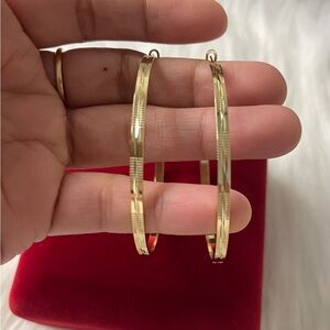 Large 14k Gold Filled Hoop Earrings